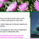 Illustration for article titled Judy Blumes Planned Parenthood Letter Enrages Pro-Lifers